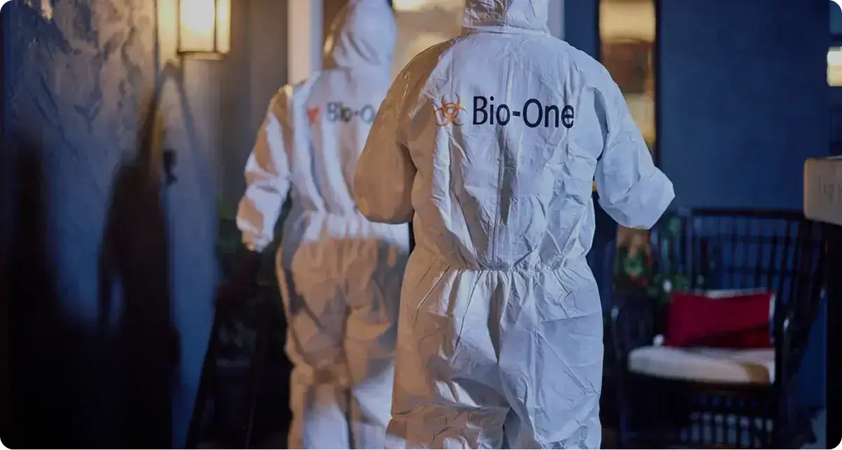 Five Star Experience