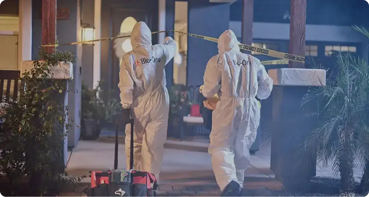 Five Star Experience